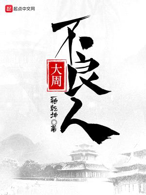 大周不良人封面